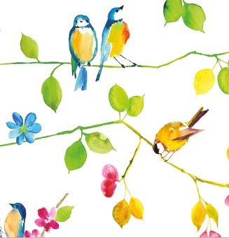 Watercolor Birds Note Cards (Stationery)